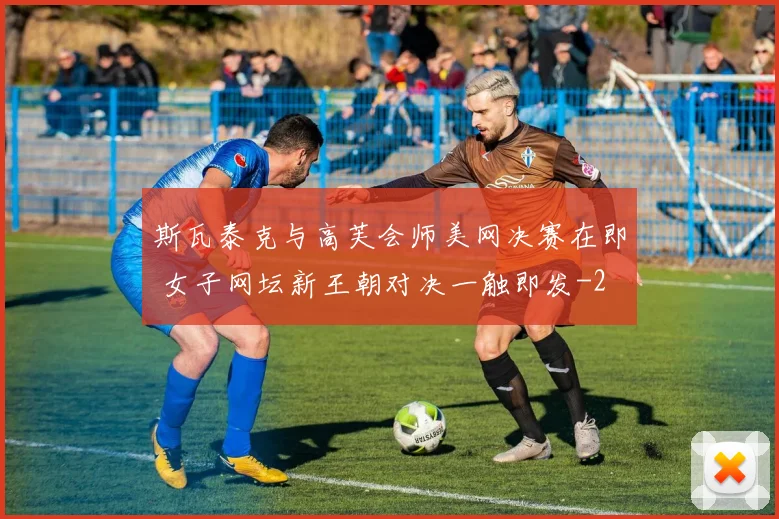 斯瓦泰克与高芙会师美网决赛在即 女子网坛新王朝对决一触即发